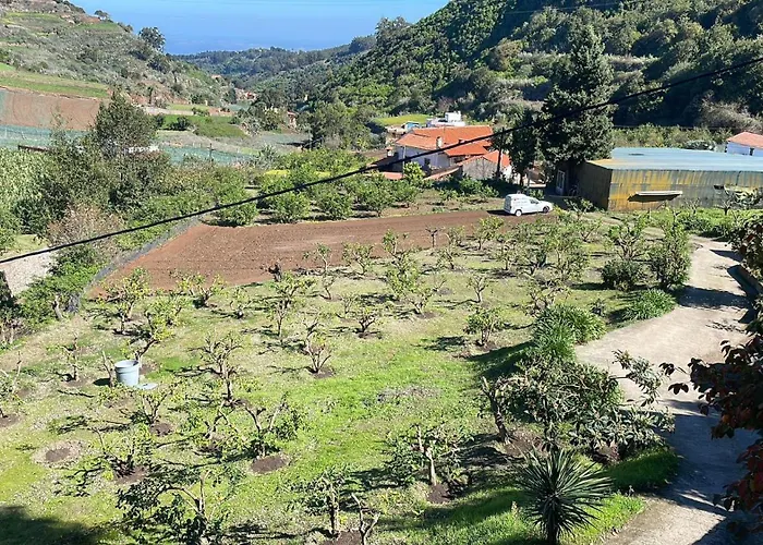 Arcos Del Laurel
