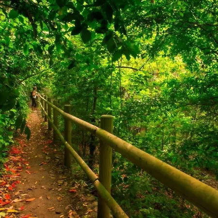 Apartment Arcos Del Laurel