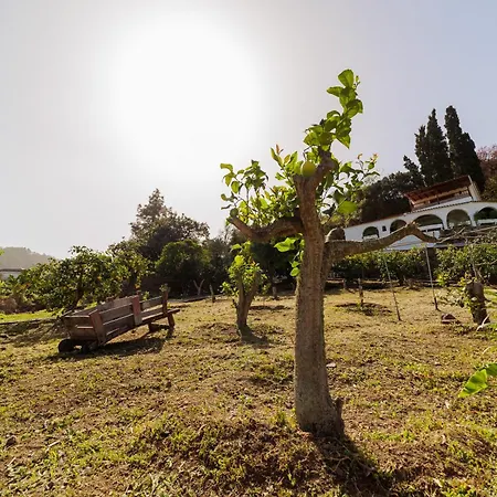 Apartment Arcos Del Laurel Moya (Gran Canaria)