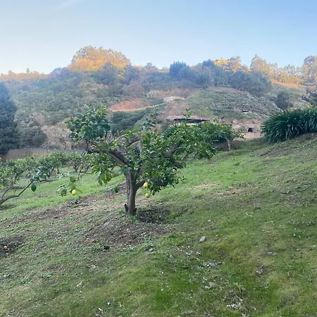 Arcos Del Laurel * Moya (Gran Canaria)