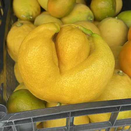 Apartment Arcos Del Laurel *