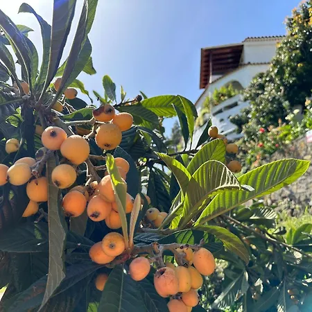 Arcos Del Laurel アパート *