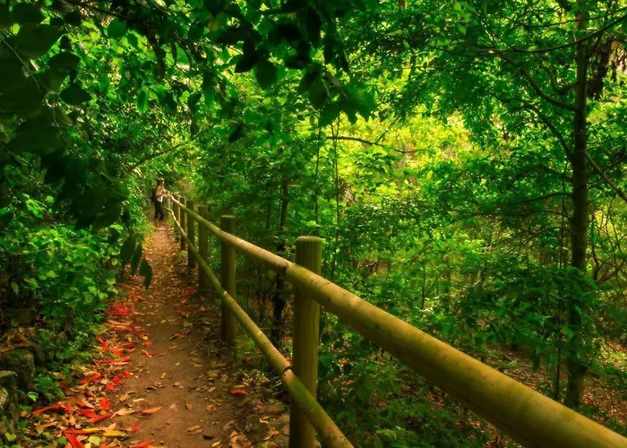 Appartamento Arcos Del Laurel