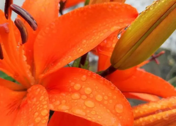 Appartamento Arcos Del Laurel