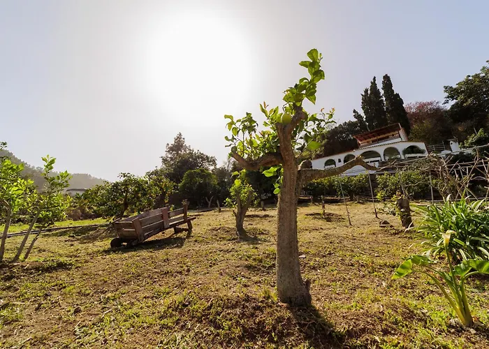 Appartamento Arcos Del Laurel Moya (Gran Canaria)