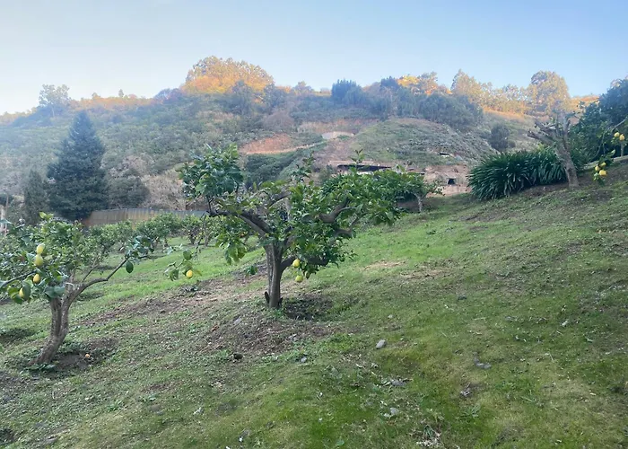 Arcos Del Laurel * Moya (Gran Canaria)