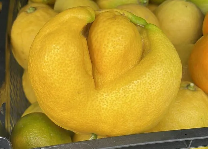 Appartamento Arcos Del Laurel *