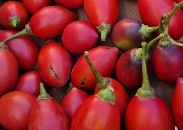 Arcos Del Laurel Appartamento Moya (Gran Canaria)