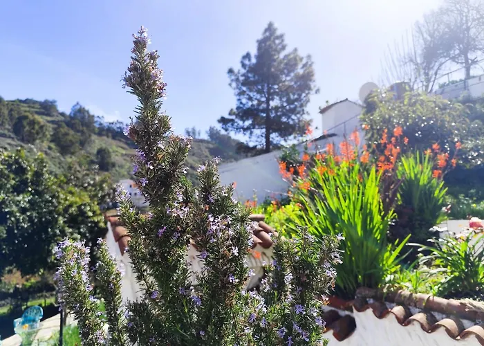 Arcos Del Laurel Moya (Gran Canaria)