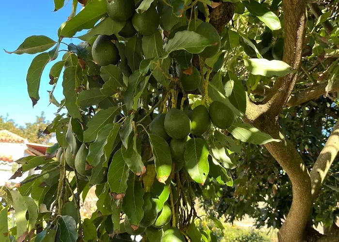 Appartamento Arcos Del Laurel *