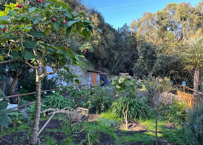 Arcos Del Laurel Appartamento Moya (Gran Canaria)