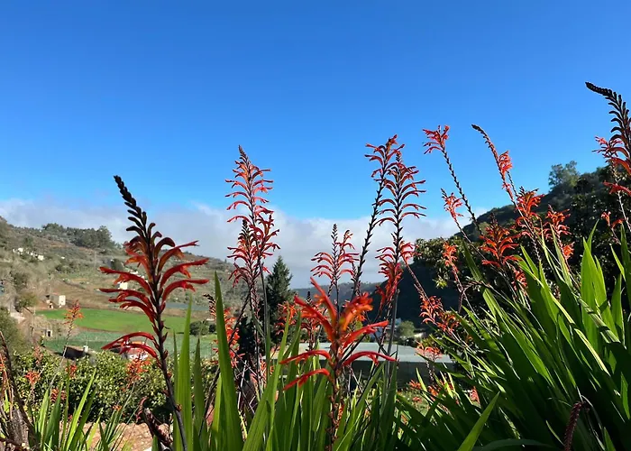 Arcos Del Laurel Moya (Gran Canaria)