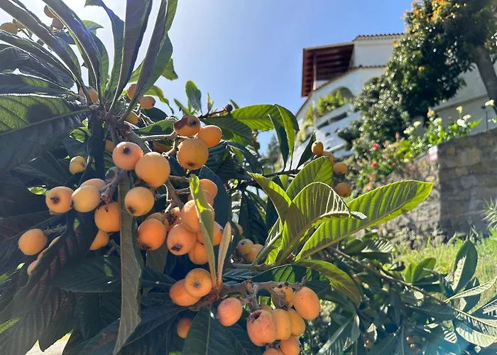 Arcos Del Laurel Appartamento *